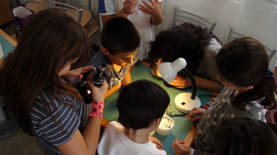 Barn och lärare samarbetar runt mikroskop