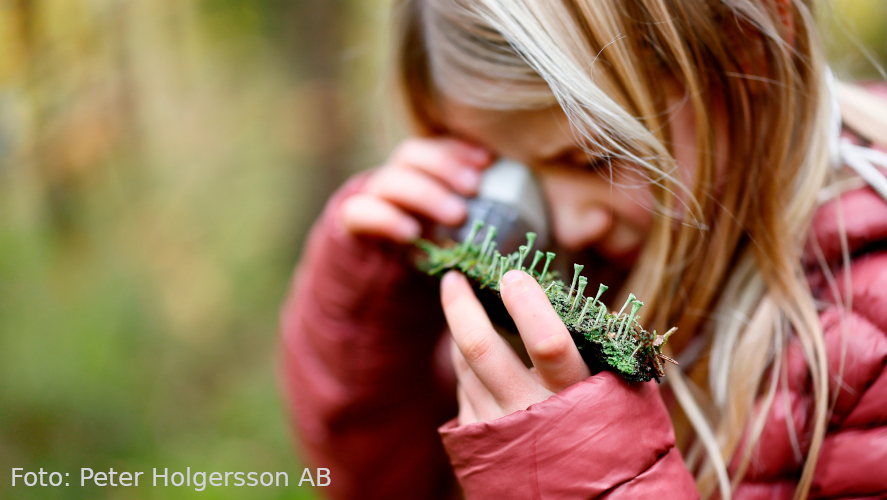 Flicka tittar på lav via lupp utomhus